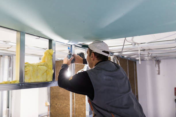 Soundproof Insulation Installation in Alpine, TX