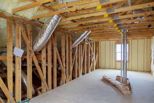 Best Professional Insulation Contractor  in Alpine, TX