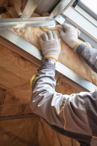 Insulation Contractors for Homes in Alpine, TX