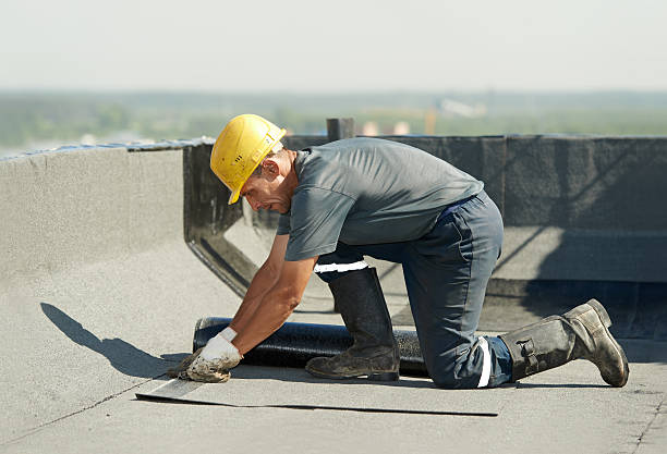 Best Home Insulation Services  in Alpine, TX