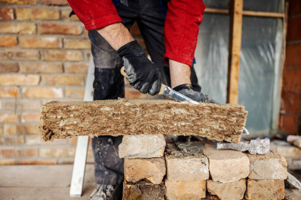 Best Affordable Insulation Services  in Alpine, TX